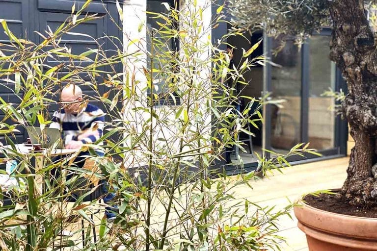 TWL_SE3_outdoor_1200x800